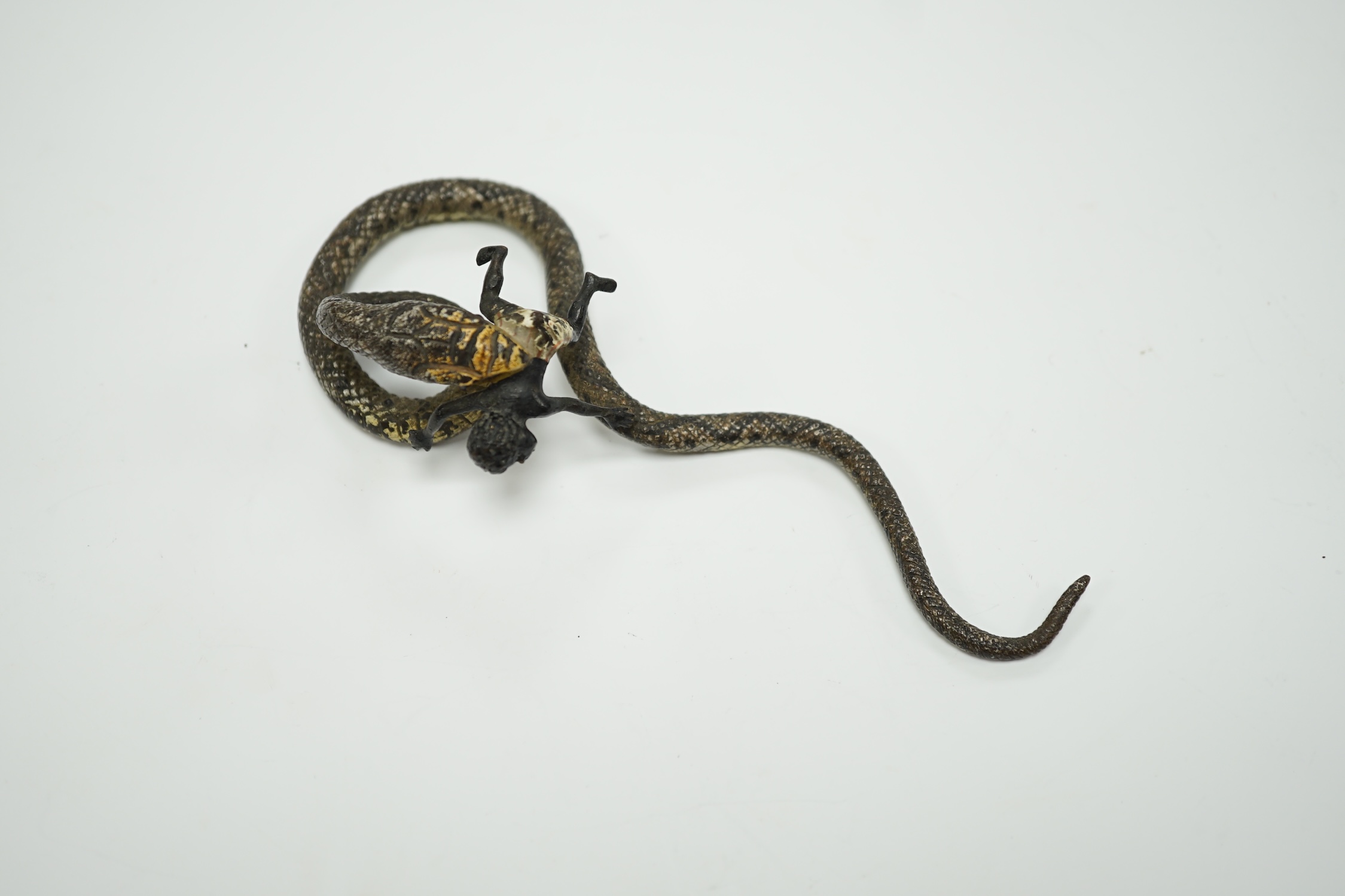 A Viennese cold painted bronze snake devouring a man, 14cm long